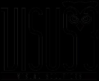 Visus 3 logo